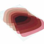 Hand Knotted Rugs in Dubai UAE