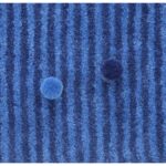 Customized Carpets in Qatar