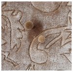 Customized Carpets in Oman Kuwait