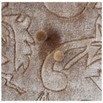 Customized Carpets in Oman Kuwait