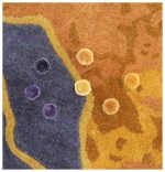 Bespoke handmade carpets in Dubai