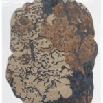 Customized Carpets in Oman Kuwait