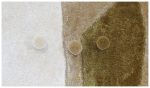 Bespoke customized rugs in Dubai
