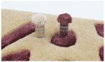 Enaya Rugs Dubai