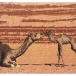 Buy Wool Rugs in Dubai