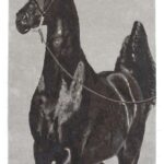 Bespoke handmade Rugs in Oman