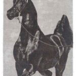 Bespoke handmade carpets in Dubai