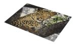 Customized Carpets in Qatar